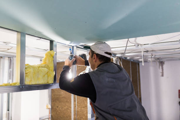 Best Insulation Maintenance and Repair in Elmore, OH