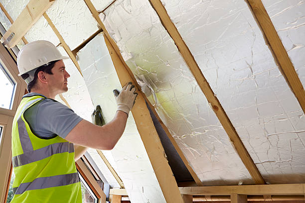 Best Residential Insulation in Elmore, OH